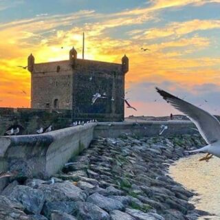 Essaouira Day Trip from Marrakech: Book Your Coastal Tour Now